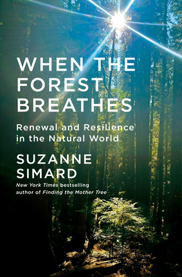 When the Forest Breathes: Renewal and Resilience in the Natural World