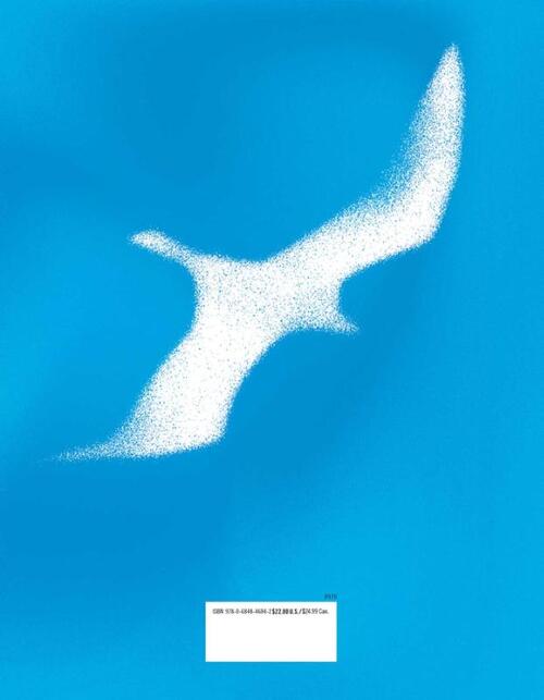 Jonathan Livingston Seagull