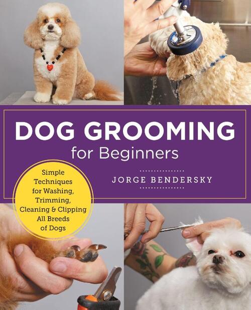 Dog Grooming for Beginners