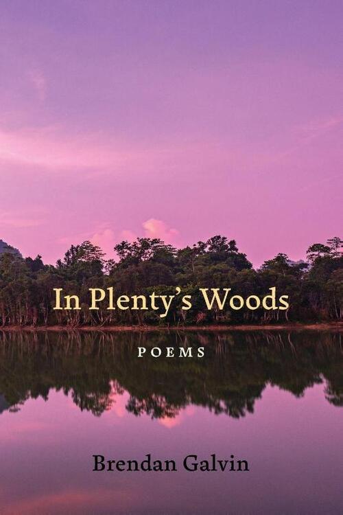 In Plenty's Woods