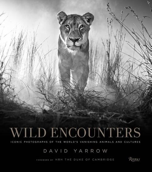 Wild encounters