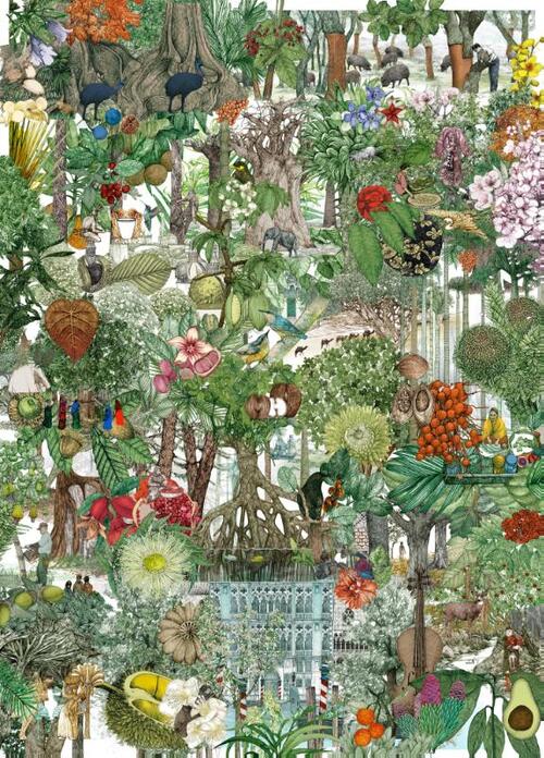 Around the World in 50 Trees