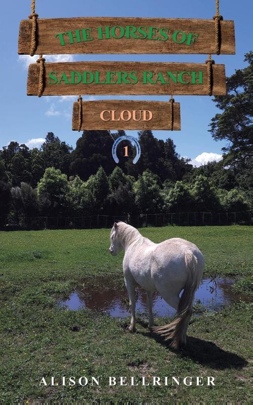 The Horses of Saddlers Ranch: Cloud