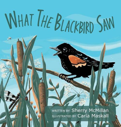 What the Blackbird Saw
