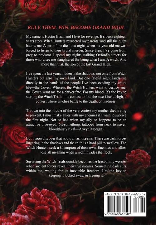 The Witch and His Crow