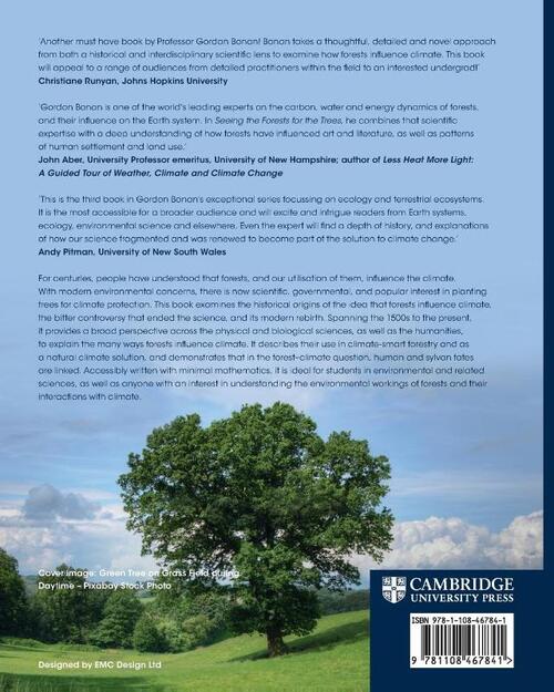 Seeing the Forest for the Trees