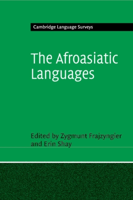 The Afroasiatic Languages