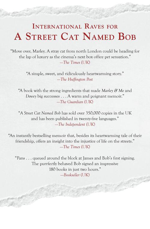 Street Cat Named Bob