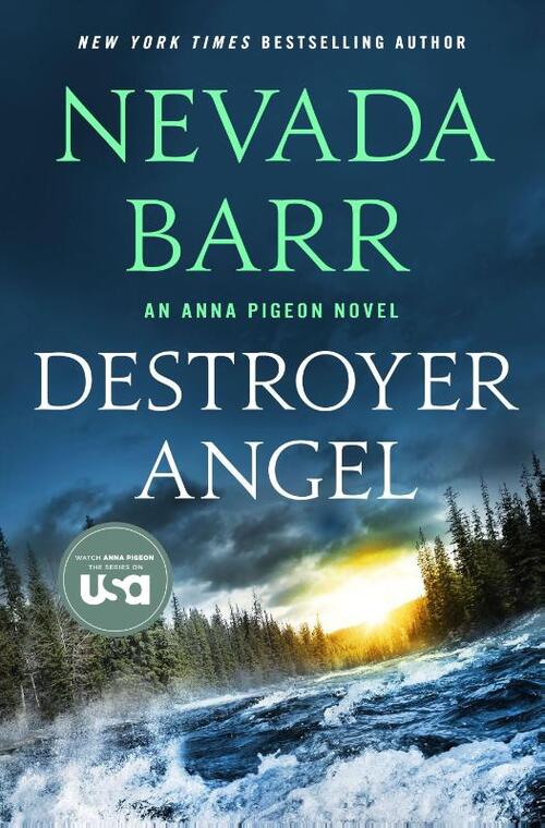 Destroyer Angel