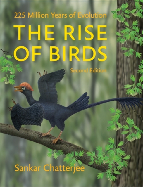 The Rise of Birds