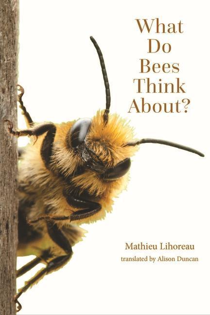 What Do Bees Think About?