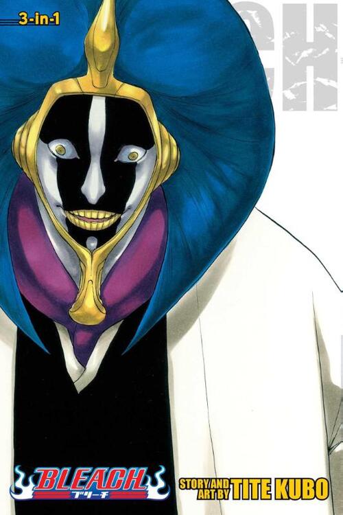 Bleach (3-in-1 Edition), Vol. 12
