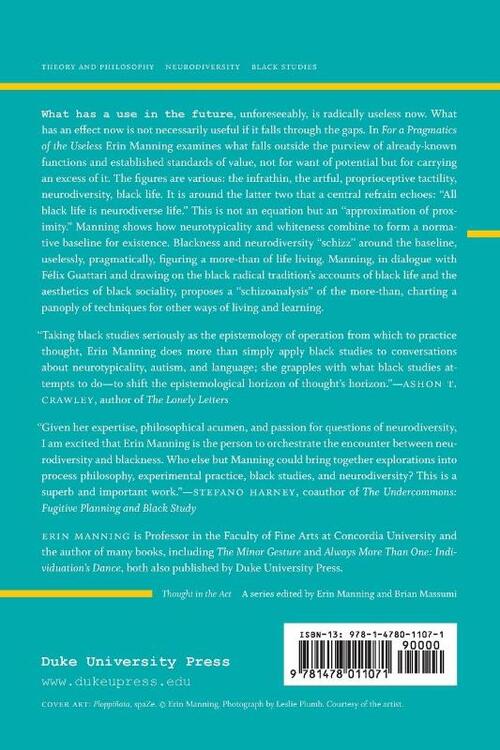 For a Pragmatics of the Useless