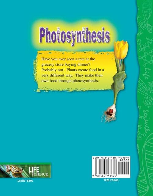Photosynthesis