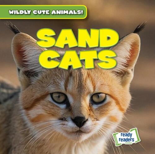 Sand Cats