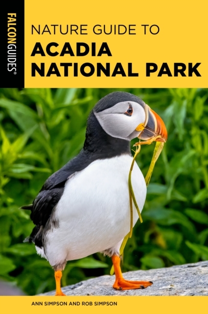 Nature Guide to Acadia National Park