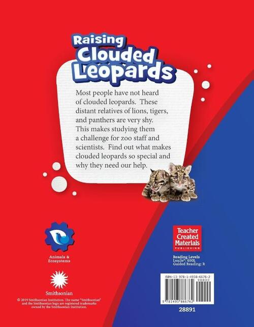 Raising Clouded Leopards