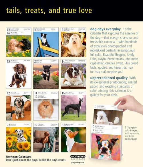 Dog Page-A-Day® Gallery Calendar 2027