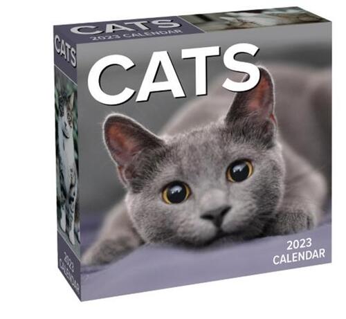 Wreedheid Uitdrukkelijk Deuk Boxed Scheurkalender - 2023 Cats, Andrews McMeel Publishing | Kalender |  9781524872717 | Bruna