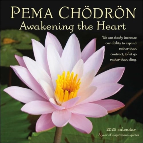 Pema Chodron 2025 Wall Calendar