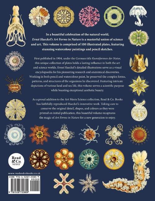 Ernst Haeckel's Art Forms in Nature