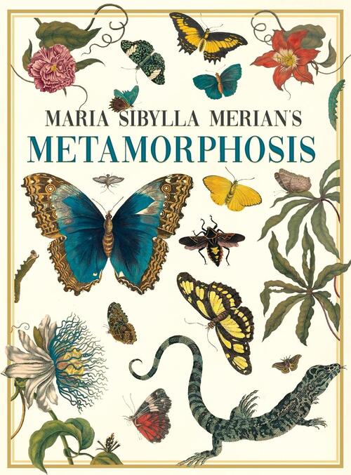 Maria Sibylla Merian's Metamorphosis