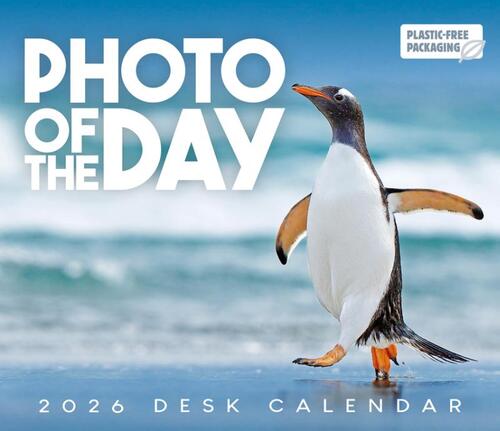 Photo Of The Day Box Calendar 2026