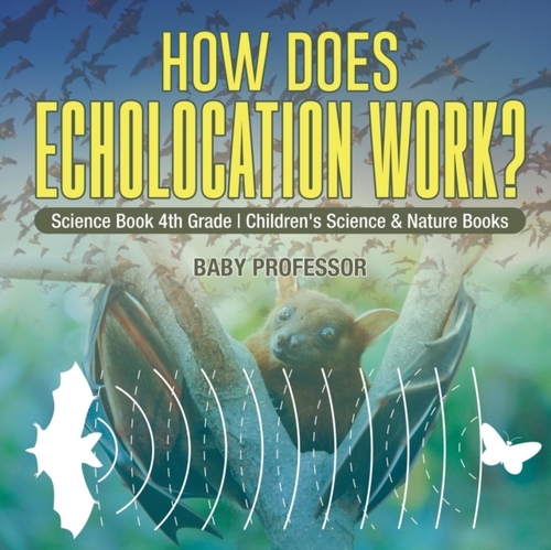 How Does Echolocation Work? Science Book 4th Grade Children's Science & Nature Books