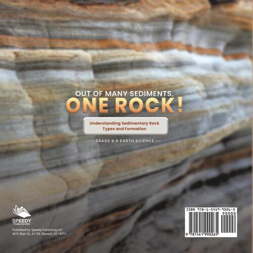 Out of Many Sediments, One Rock! Understanding Sedimentary Rock Types and Formation | Grade 6-8 Earth Science