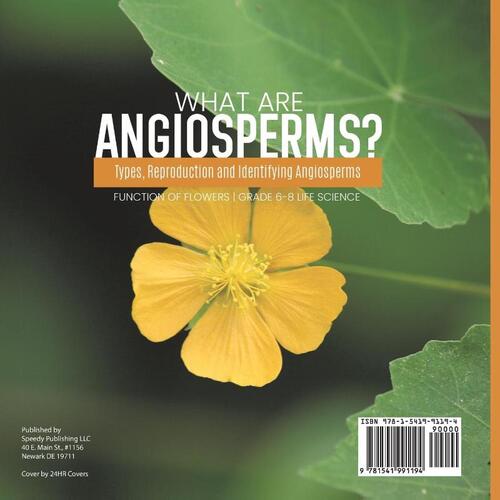 What are Angiosperms? Types, Reproduction and Identifying Angiosperms ...