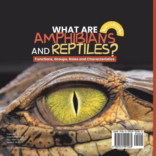 What are Amphibians and Reptiles? Functions, Groups, Roles and Characteristics | Grade 6-8 Life Science