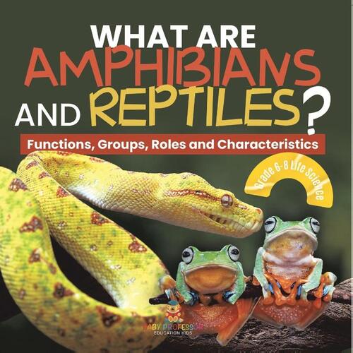 What are Amphibians and Reptiles? Functions, Groups, Roles and Characteristics | Grade 6-8 Life Science