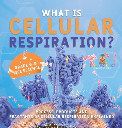What is Cellular Respiration? Process, Products and Reactants of Cellular Respiration Explained | Grade 6-8 Life Science