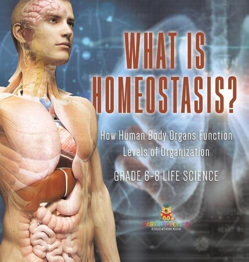 What is Homeostasis? How Human Body Organs Function | Levels of Organization | Grade 6-8 Life Science