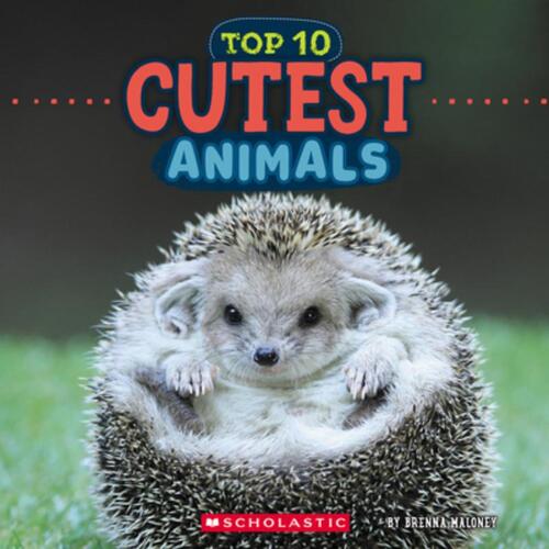 Top 10 Cutest Animals