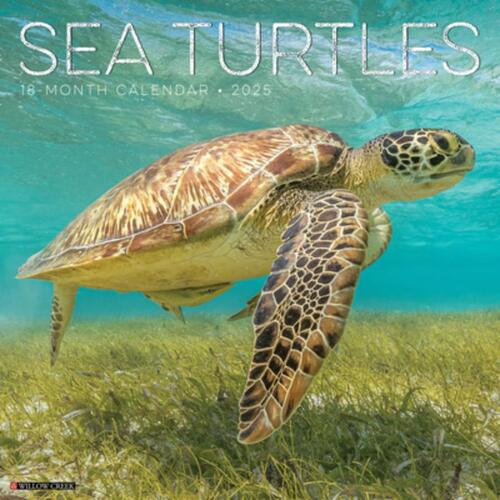 Sea Turtles 2026 Wall Calendar