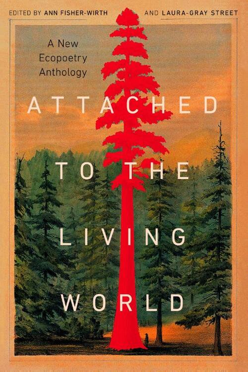 Attached to the Living World