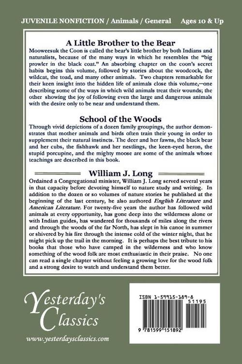 A Little Brother to the Bear