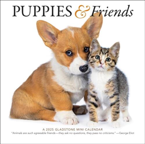 Puppies & Friends Mini Wall Calendar 2025, Gladstone Media | Boek ...