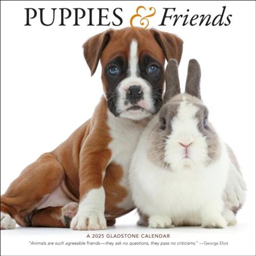 Puppies & Friends Square Wall Calendar 2025