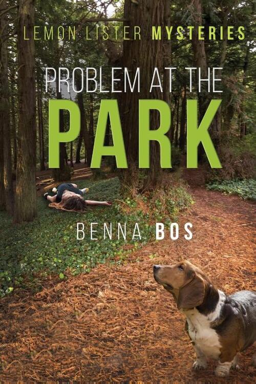 Problem At the Park