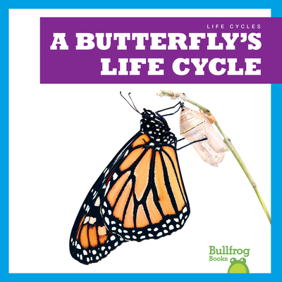 Butterflys Life Cycle