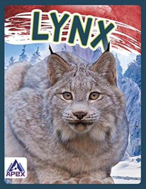 Wild Cats: Lynx