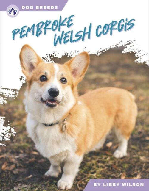 Dog Breeds: Pembroke Welsh Corgis