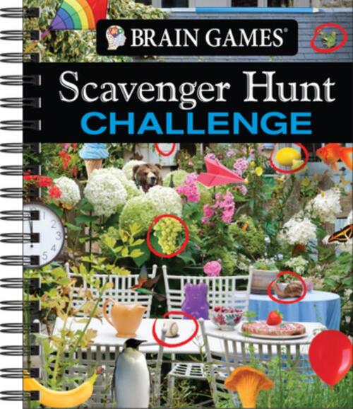 Brain Games - Scavenger Hunt Challenge: Volume 2