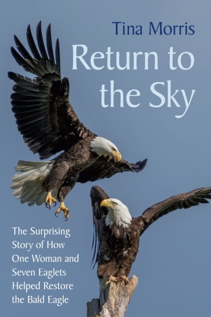 Return to the Sky