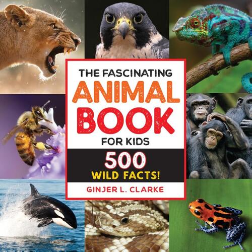 The Fascinating Animal Book for Kids