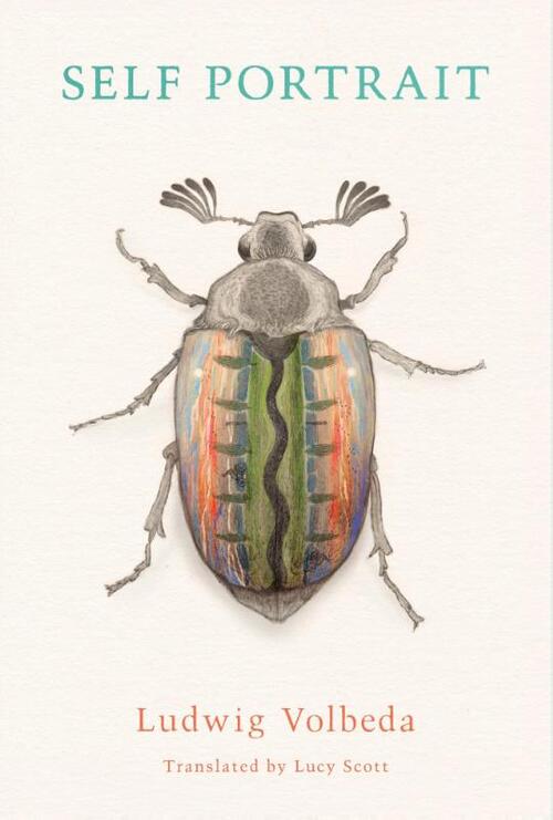 Volbeda, L: Self Portrait
