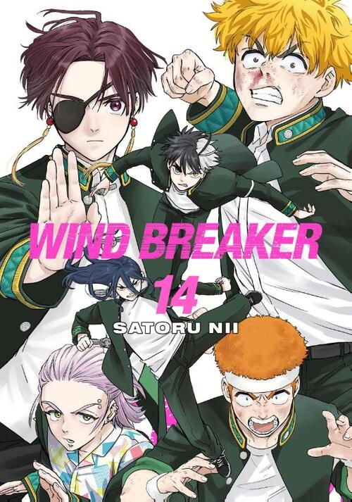 Wind Breaker 14