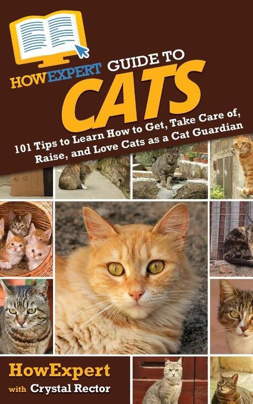 HowExpert Guide to Cats